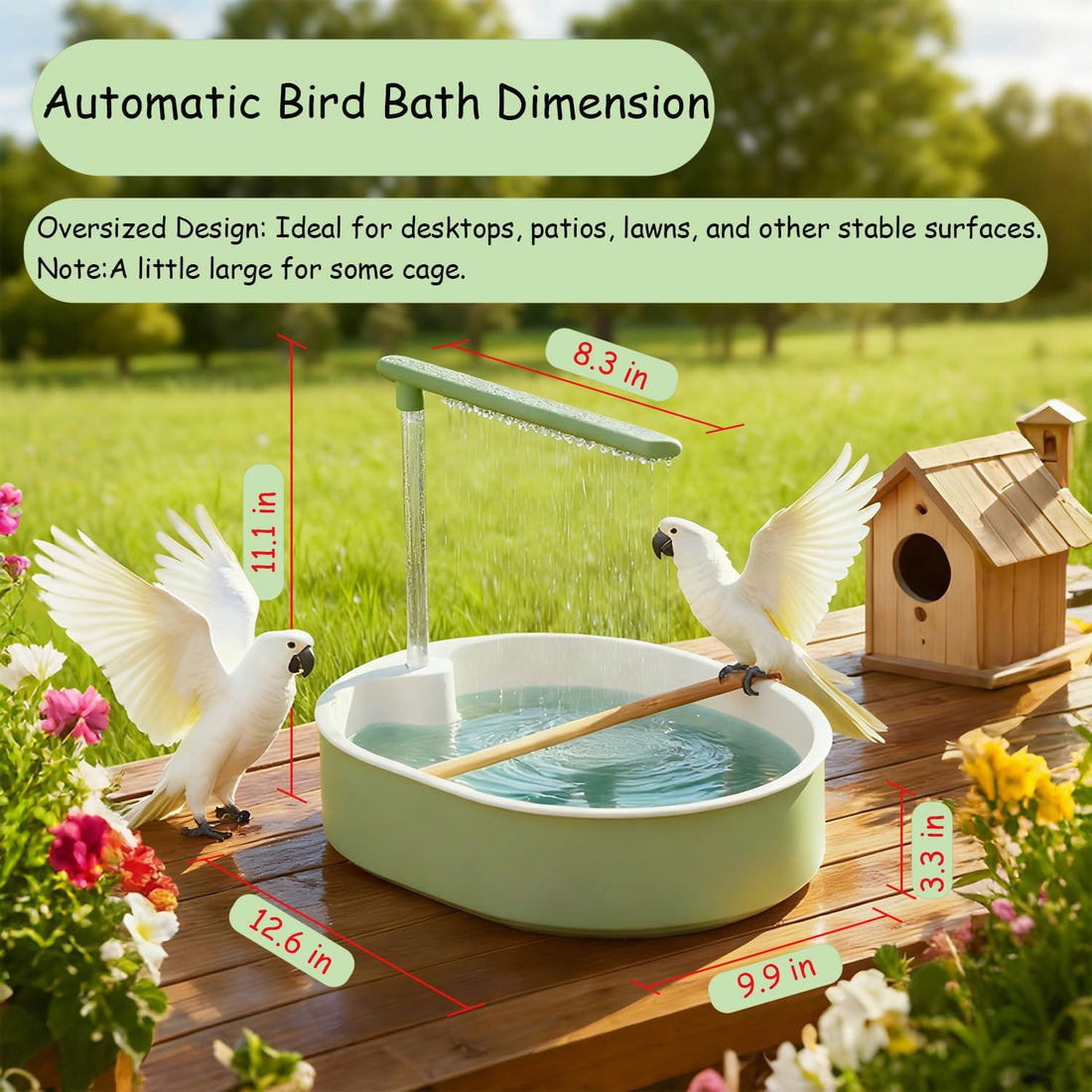 Bird Bath, Automatic Parrot Shower Bath
