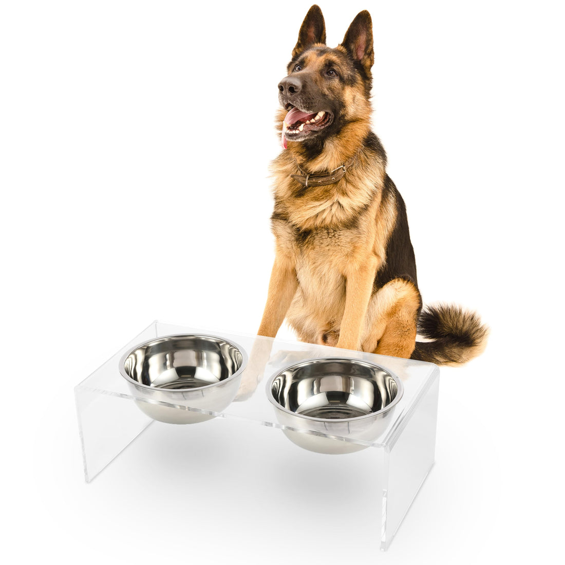 THE LICKER Store DBL2001A Keaton 7.5" Medium/Large Modern Lucite