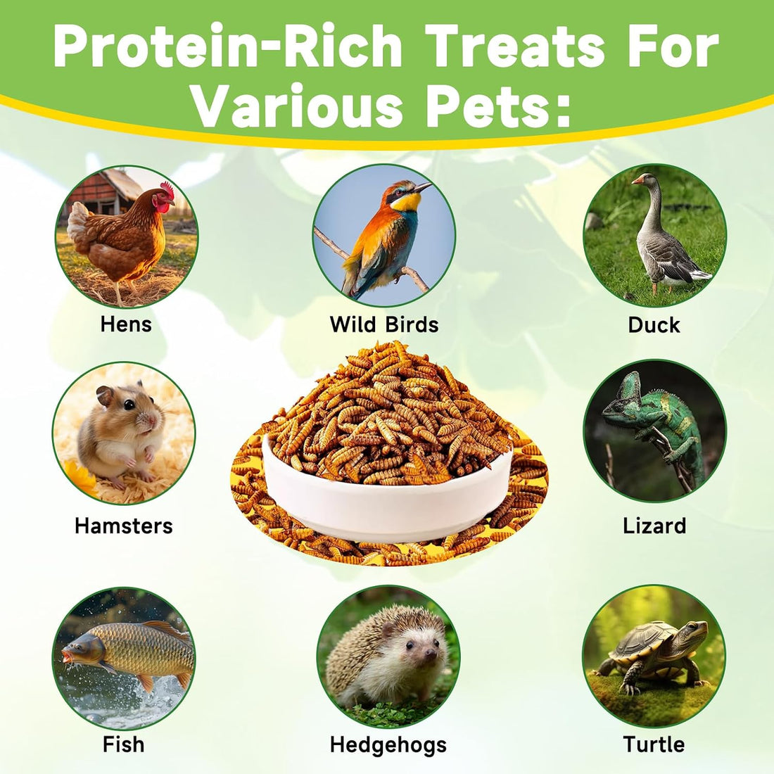 MTART 10LB Dried Black Soldier Fly Larvae Treat for Chicken