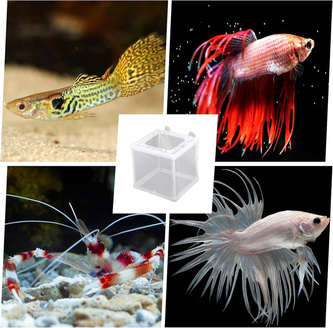 2 Pack Fish Incubator Mesh Box Aquarium