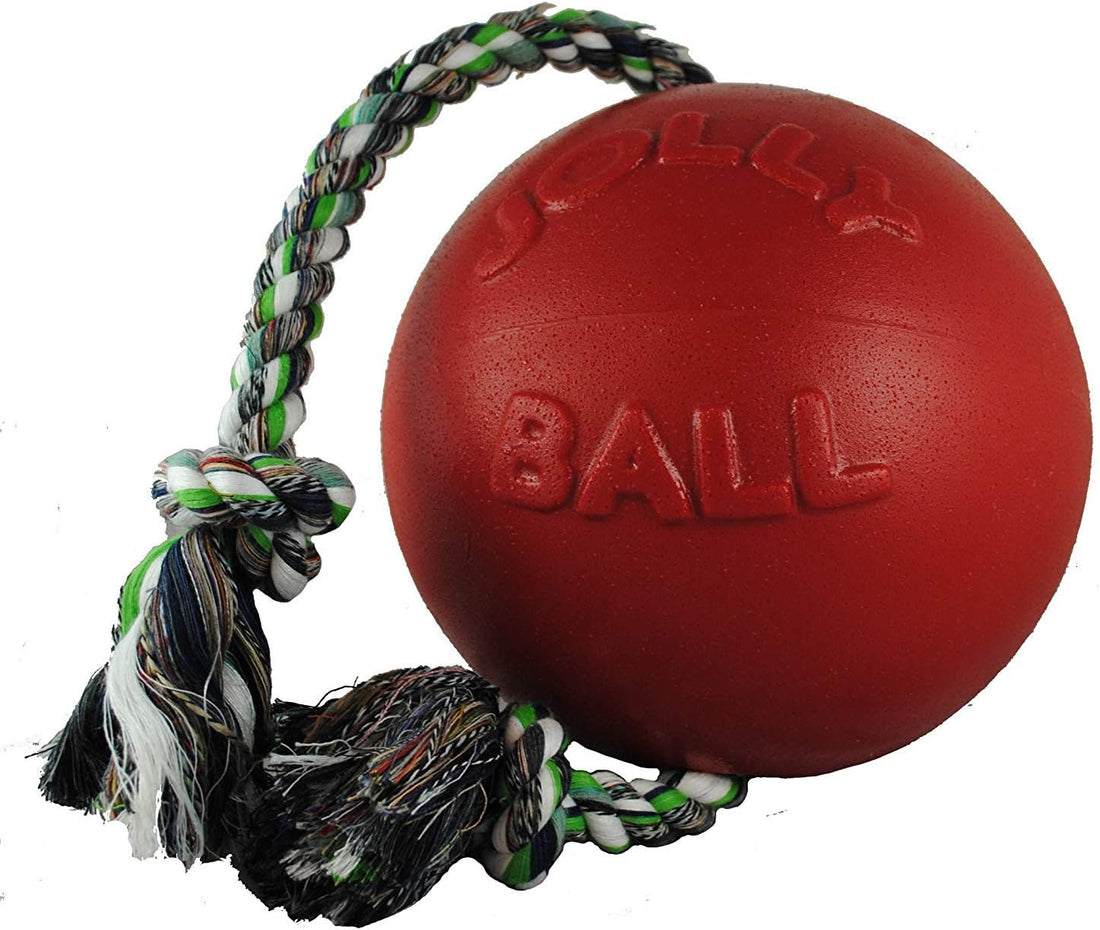 Jolly Pets Romp-N-Roll Rope & Ball Dog Toy, 8 in Large
