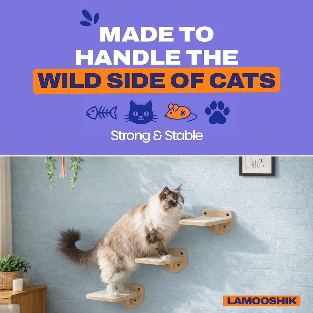 Cat Wall Shelves, Black Floating Cat Steps Set of 3
