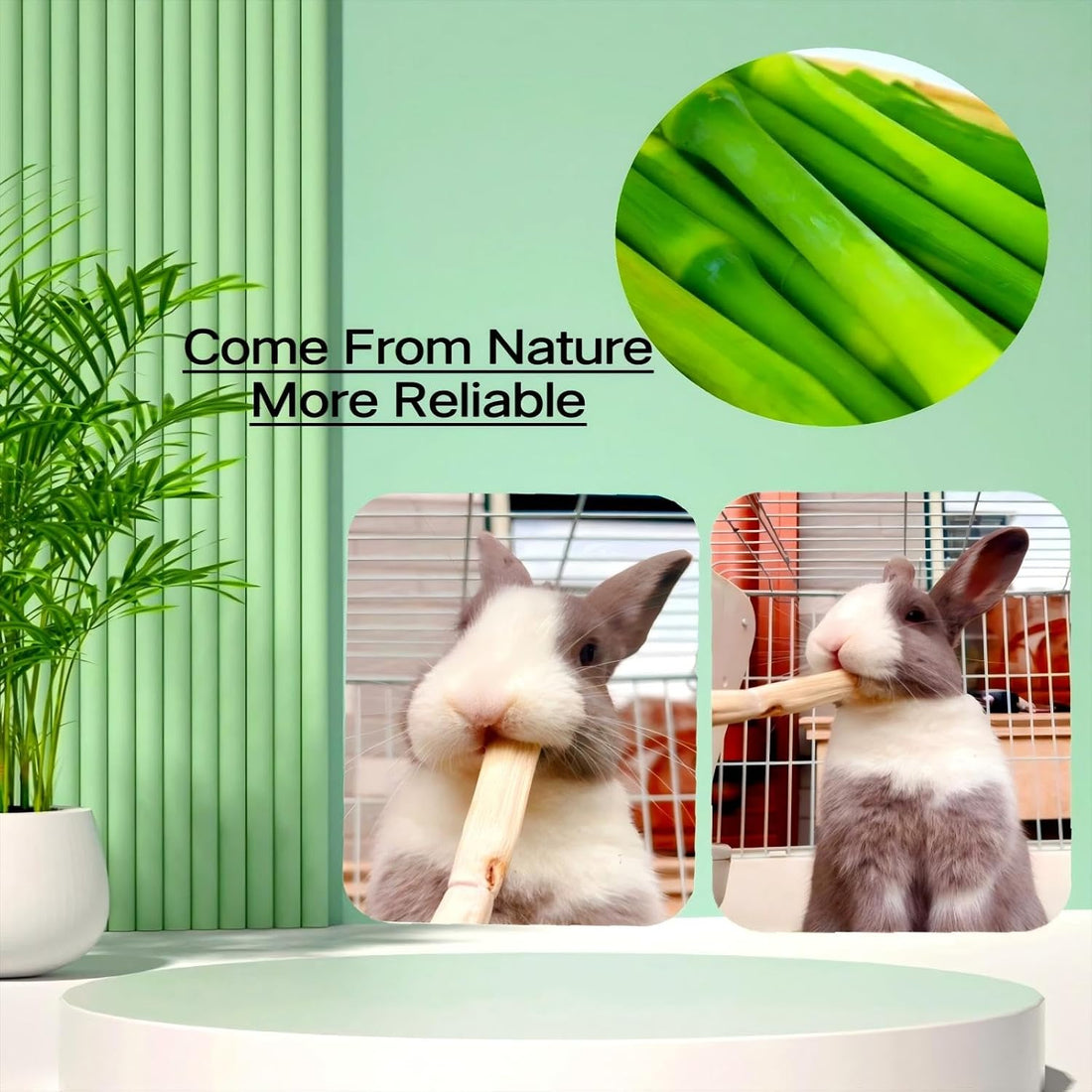 300g Sweet Bamboo Chew Toy for Small Animals,Bunny Chew Sticks