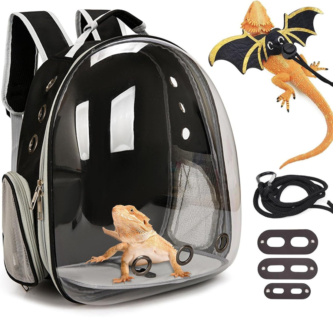 kathson Bearded Dragon Carrier with Harness and Leash Set