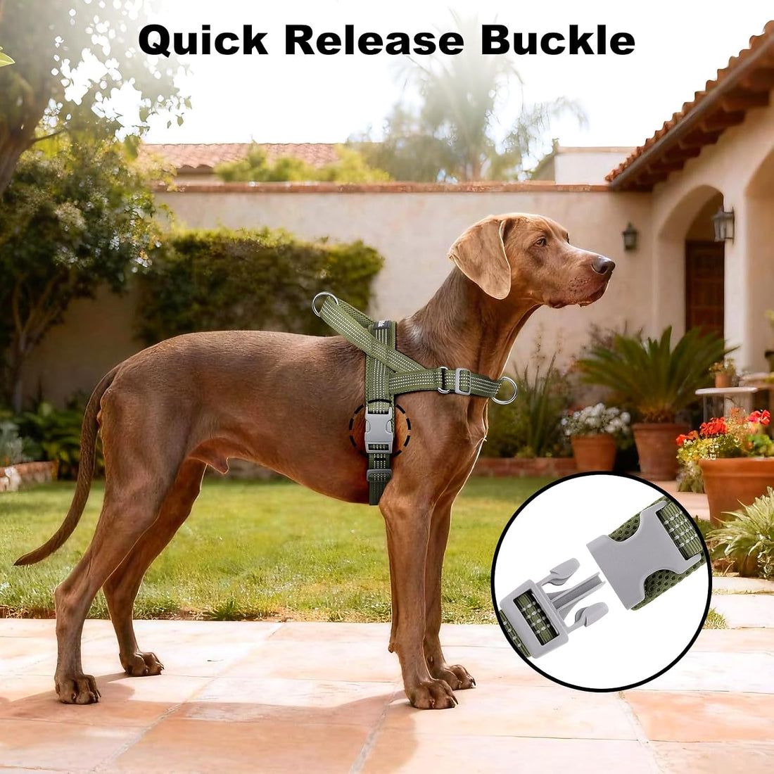 APakBak No Pull Dog Harness with Handle