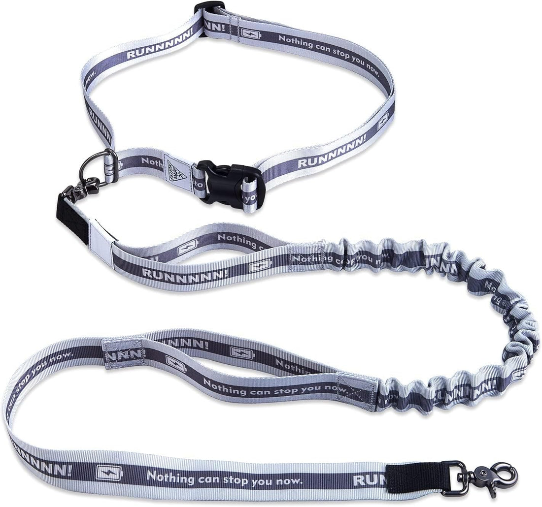 Hands Free Dog Leash,Waist Belt, Shock Absorbing Bungee, Dual Handles
