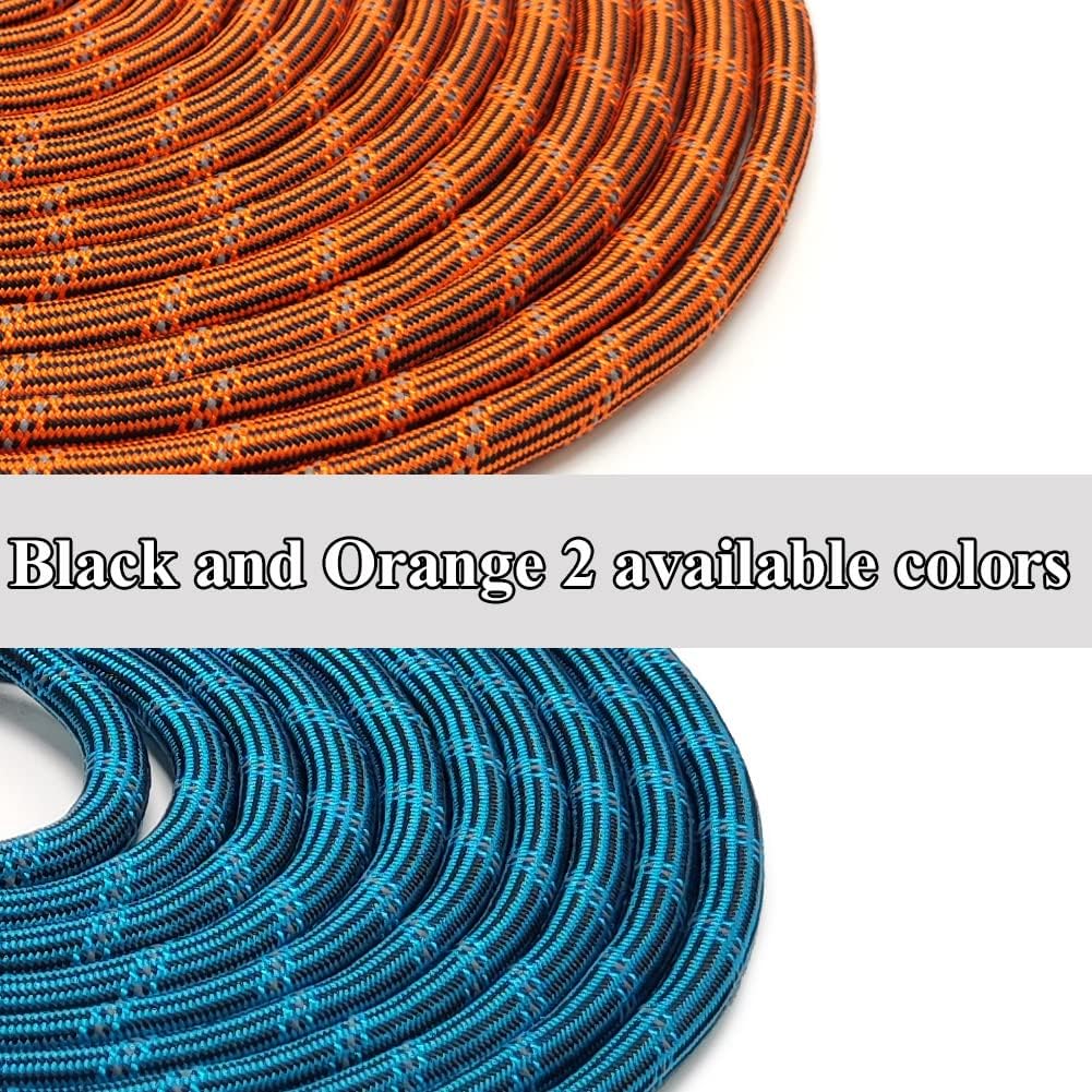 BTINESFUL 12FT 20FT 30FT 50FT Reflective Dog Tie Out for 2 Dogs, Blue