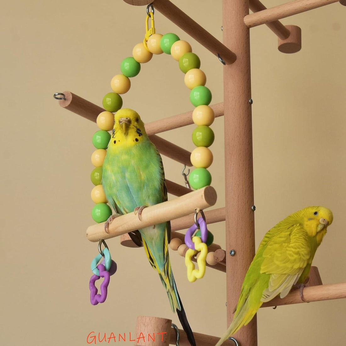 Wooden Bird Cage Swing Perch for Parakeets,Small Parrots Swings
