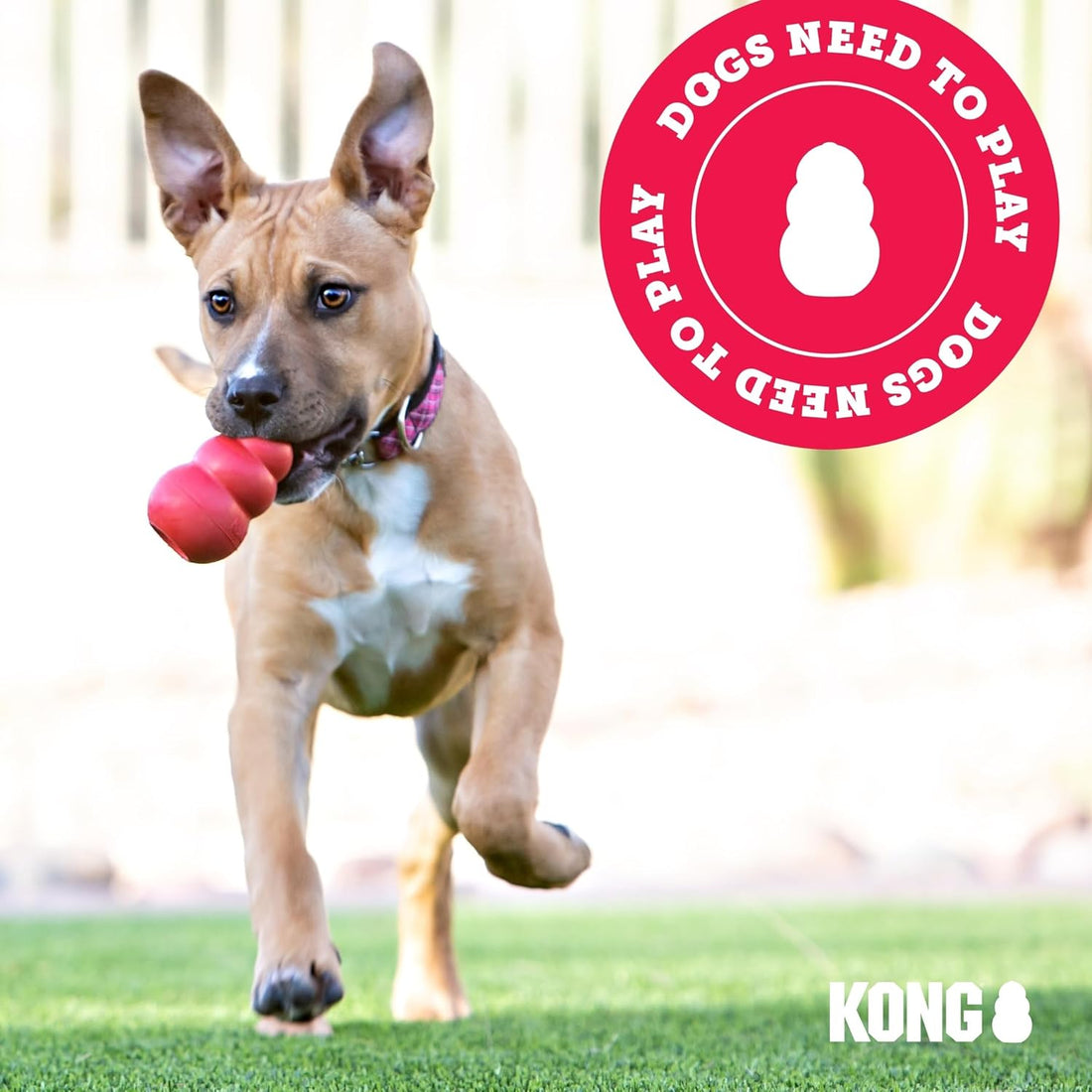 KONG Scrunch Knots Plush Dog Toy with Knotted Rope