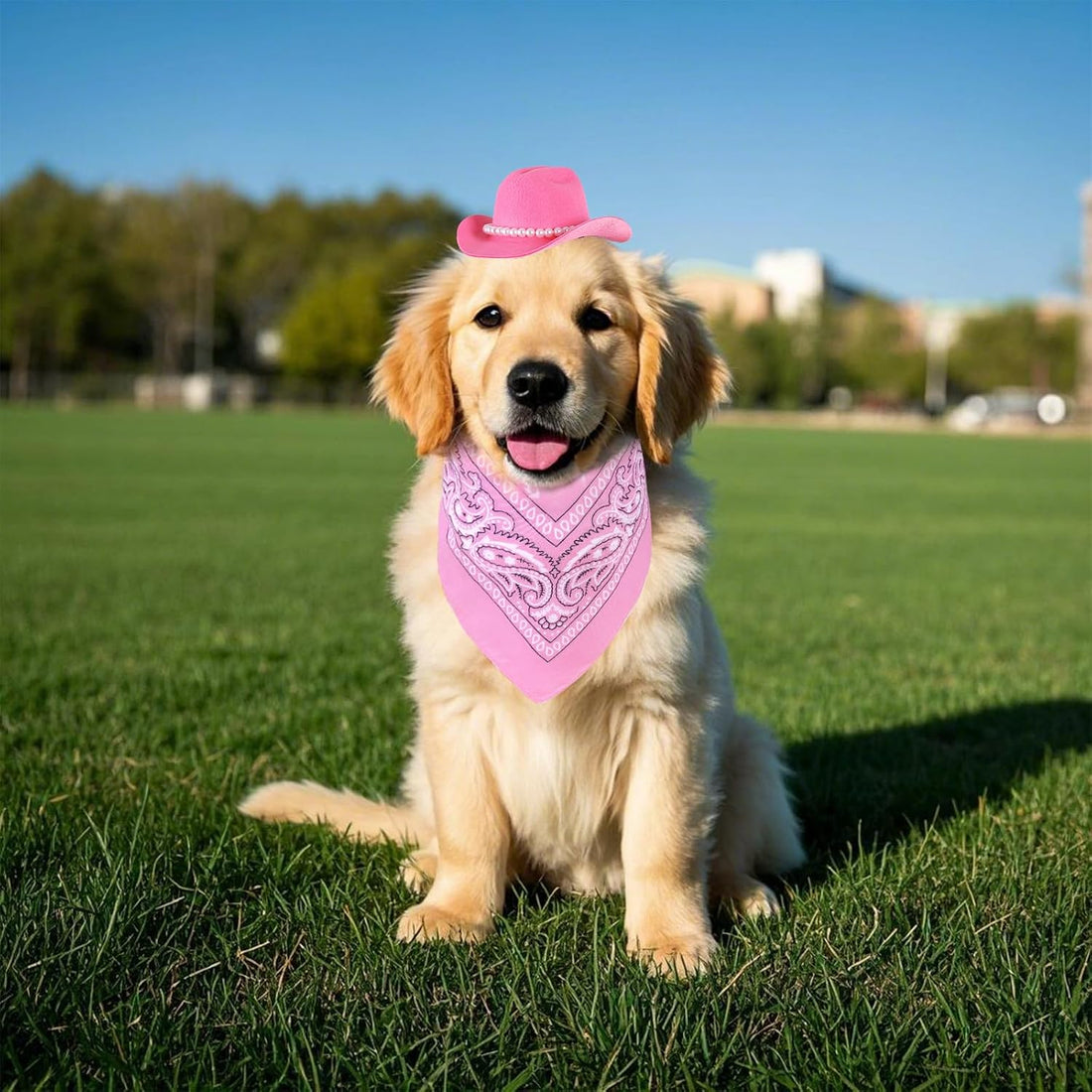 Pet Cowboy Costume Accessories Halloween Costumes for Small Pet Dogs