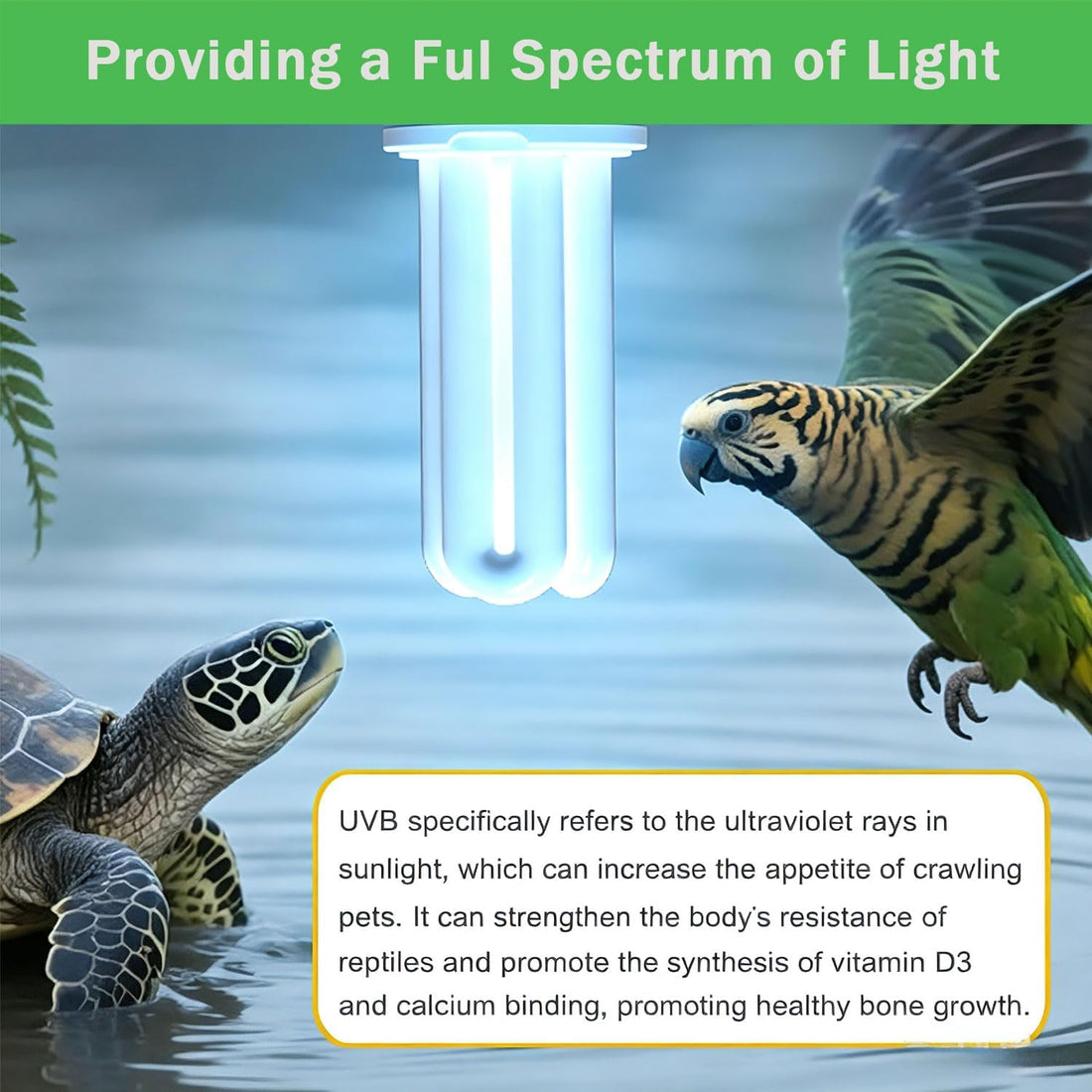 KINGYEENUO UVB 5.0 Bulb for Birds Compact Fluorescent Light Bulb E26