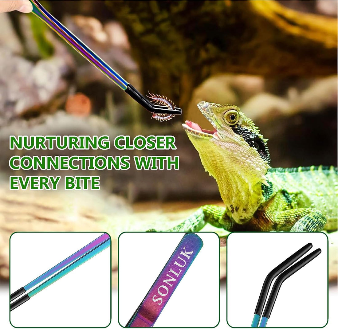 3 Pack Reptile Feeding Tongs&Bowl Set,10.62",Rubber Tips
