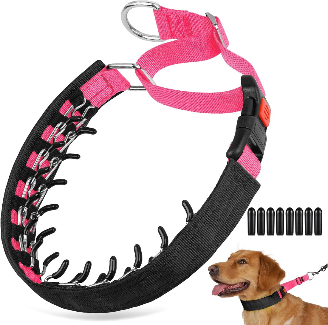 Crazy Felix No Pull Dog Collar, Hidden Martingale Training Collar