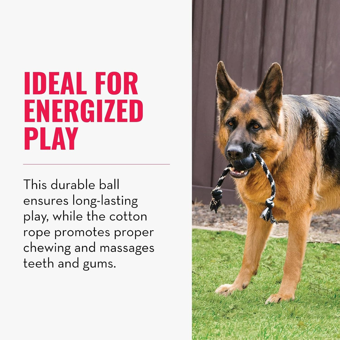 KONG Extreme Ball with Rope, Rubber Fetch Toy, Black, for Large Dogs