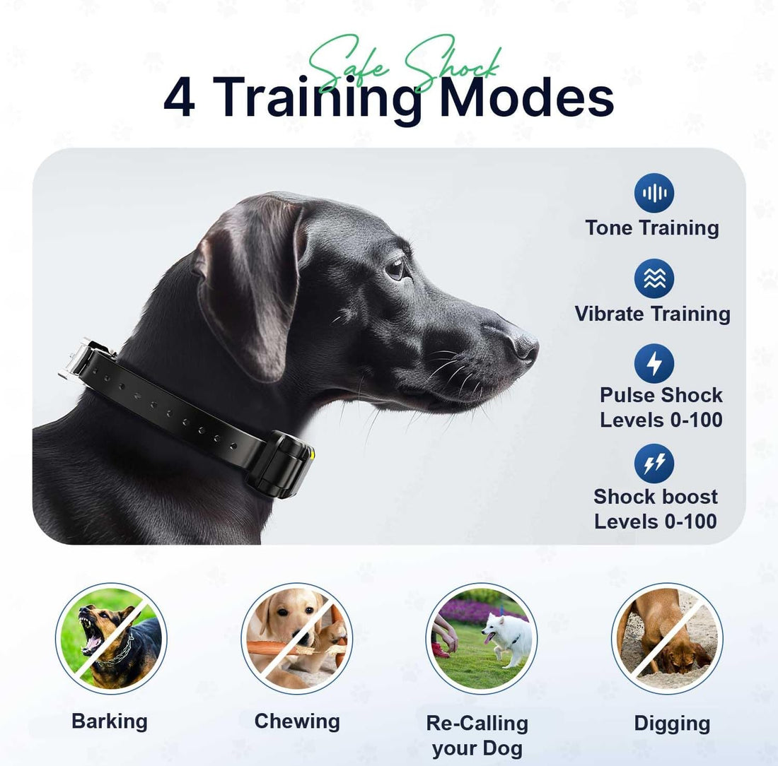 My Pet Command Long Range Dog Training Collar 1 Mile/5280 Ft