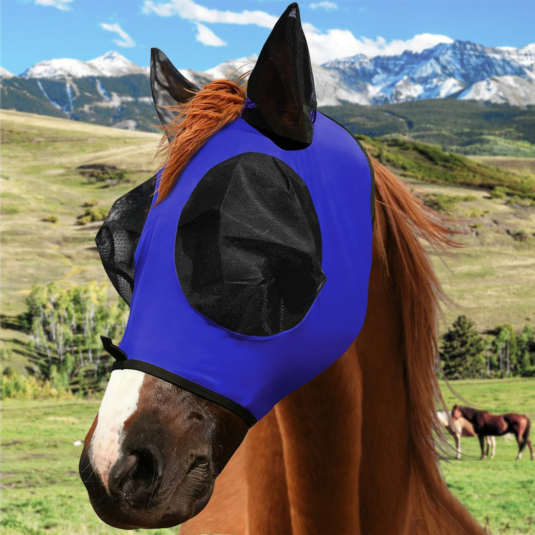 Horse Fly Mask with Forelock Opening Stretch