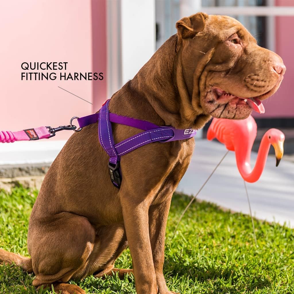 EzyDog Quick Fit Dog Harness, Soft Neoprene Padding