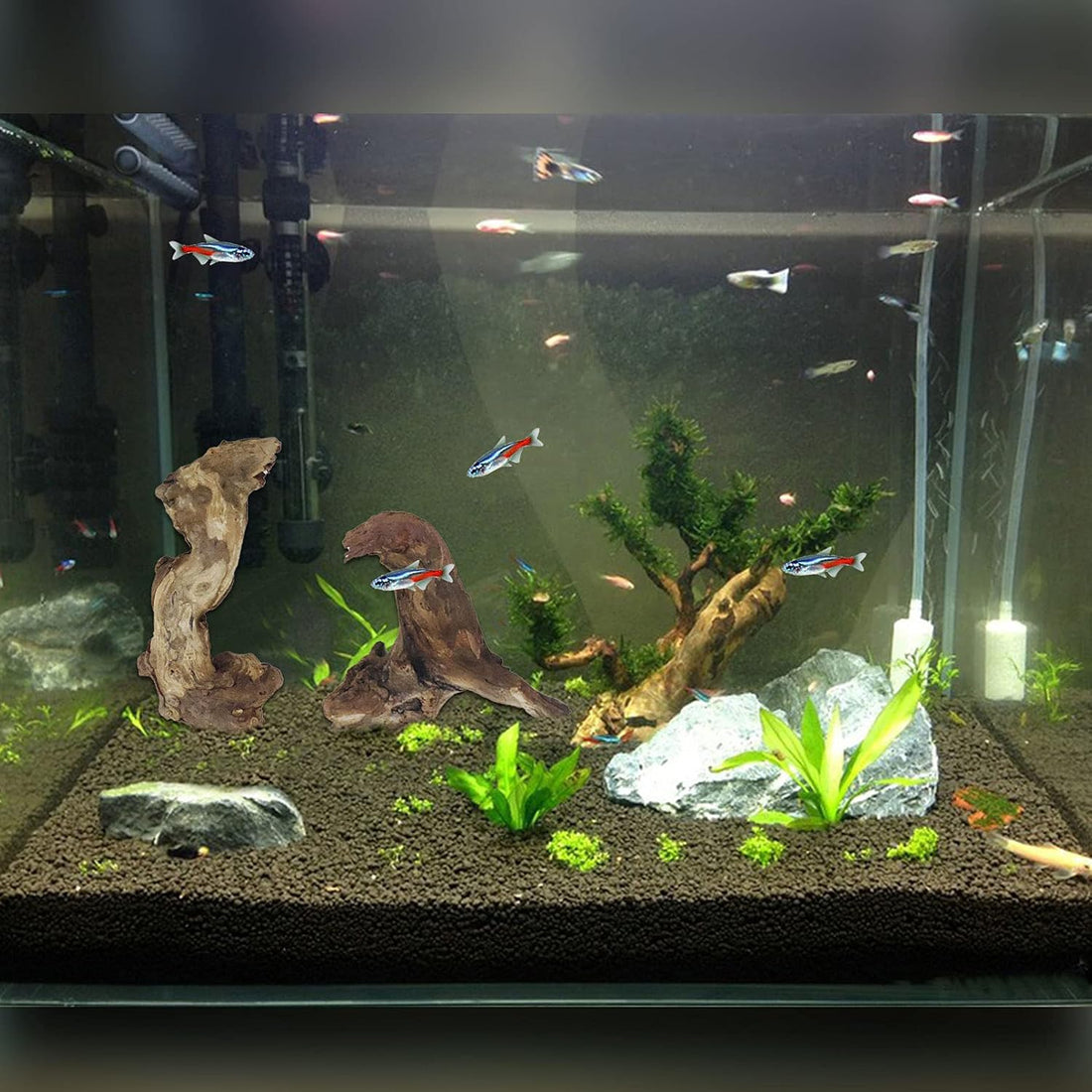 Hamiledyi Driftwood for Aquarium, 10 Pack Small Drift Wood Pieces Bulk