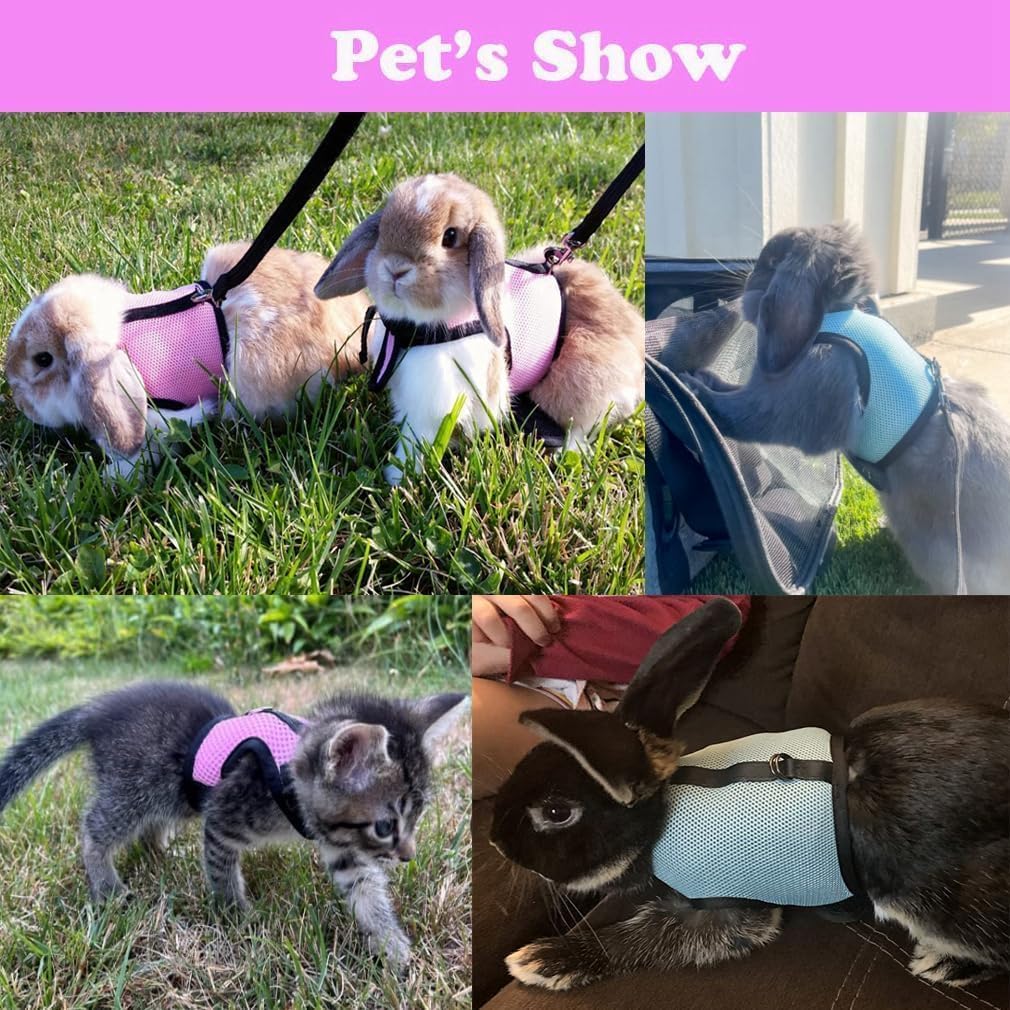 Escape Proof Rabbit Harness and Leash Set