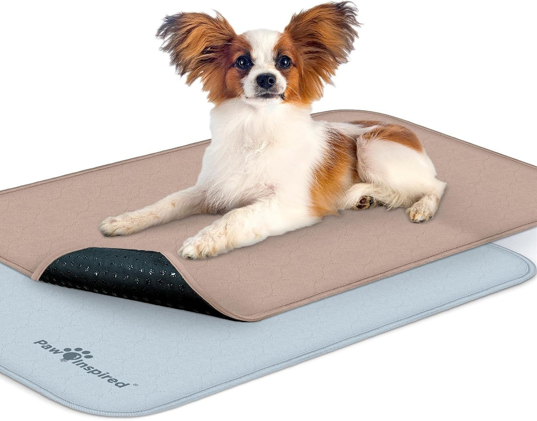 Paw Inspired Washable Crate Liners for Dogs, 35x22 Inch, 2 Pack