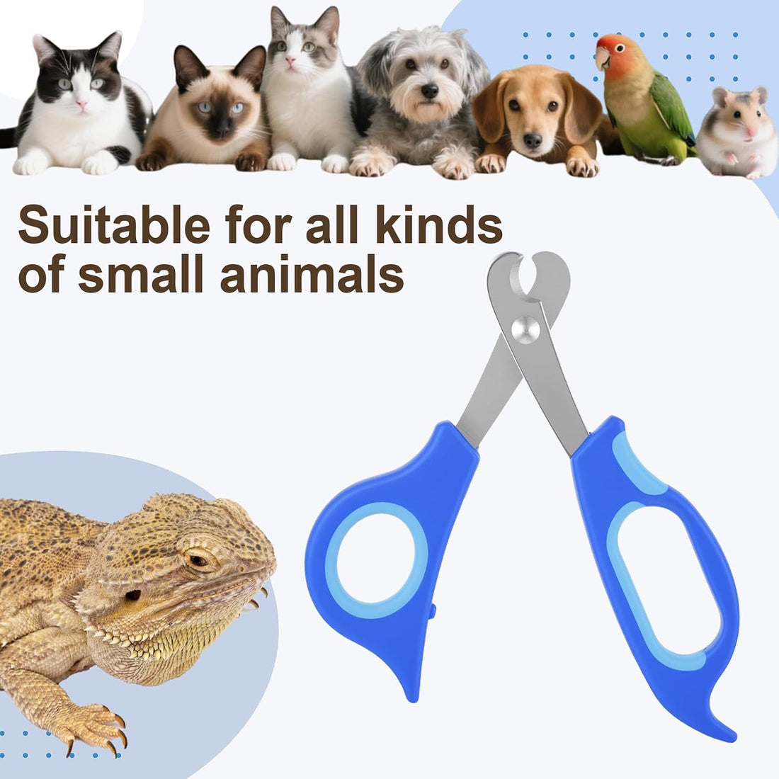 Bearded Dragon Nail Clippers,Stainless Steel Bearded Dragon