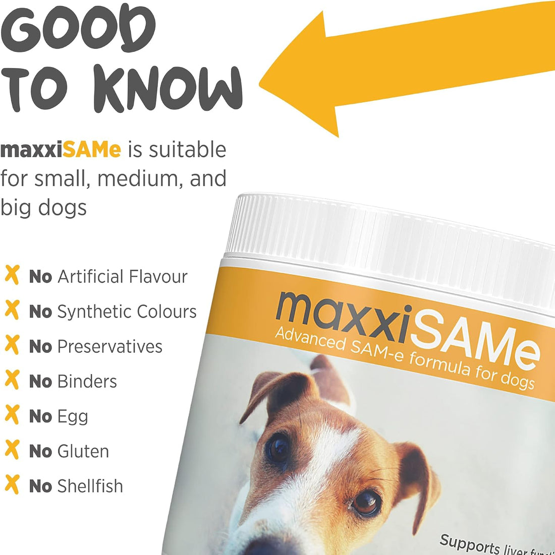 maxxipaws maxxiSAMe Advanced SAM-e Powder Supplement - Liver