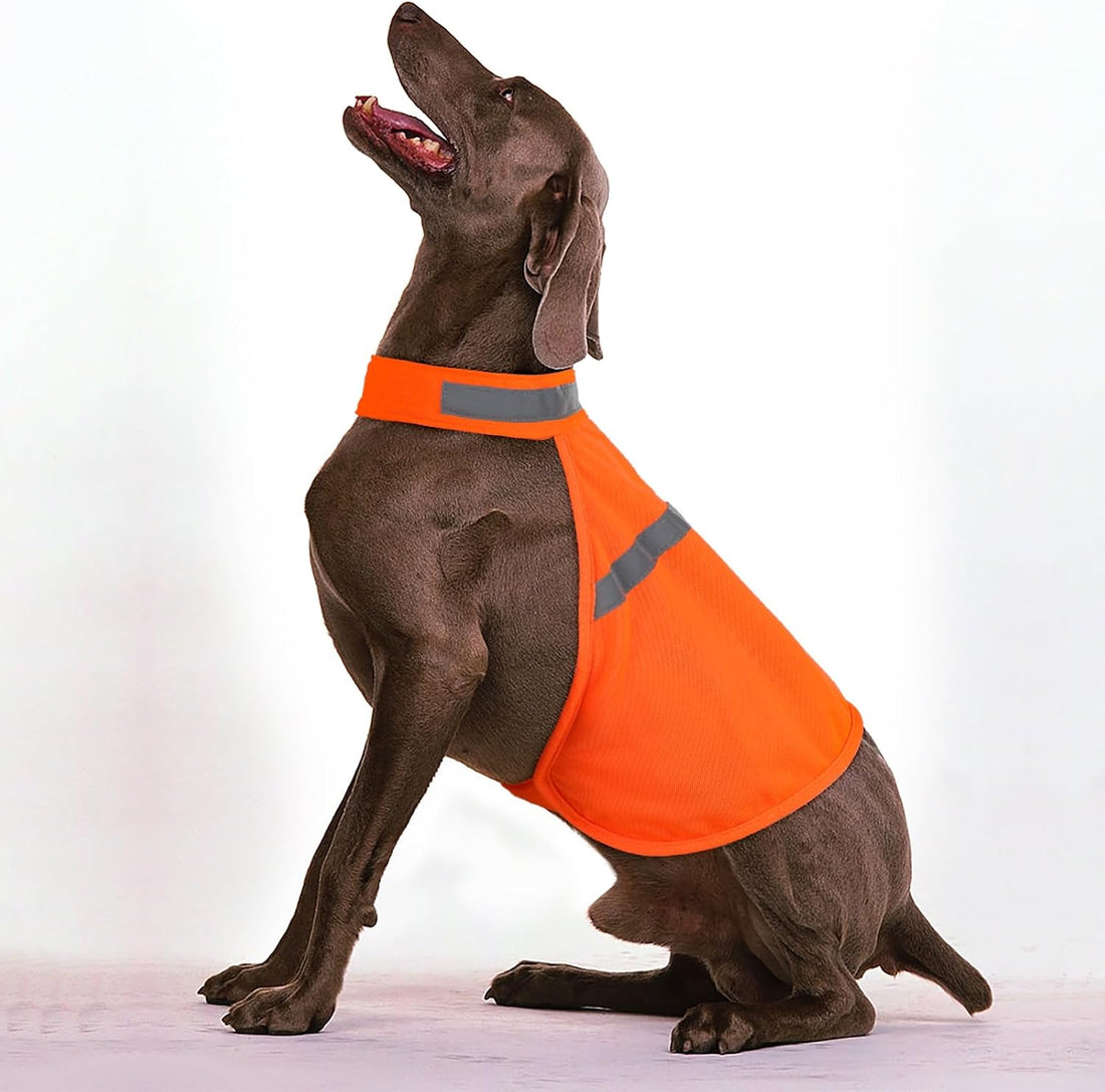 Dog Jacket High Visibility Safety Reflective Dog Vest for Small