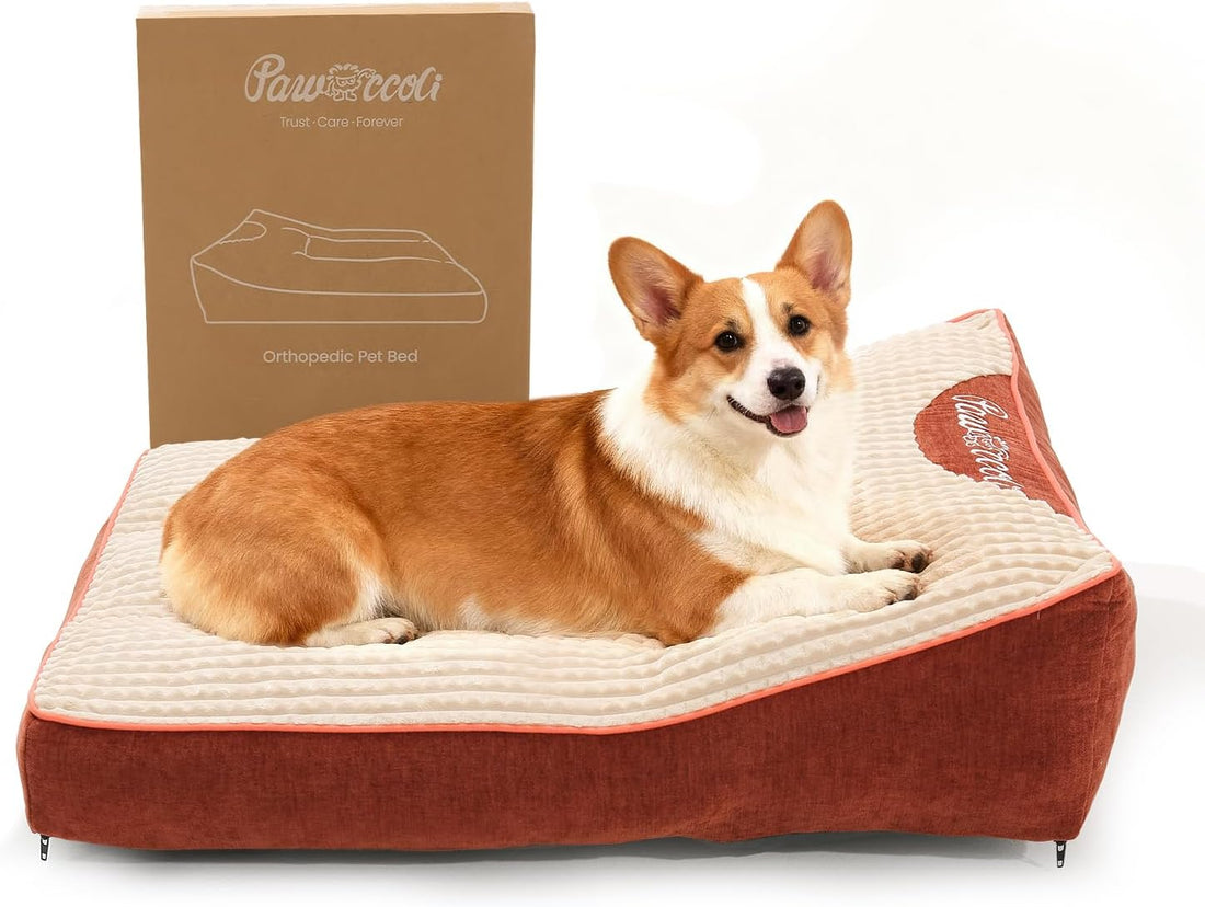 Orthopedic Dog Beds Couch Large Sized Dogs, 36" L