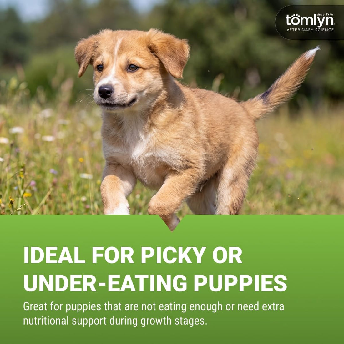 Tomlyn Nutri-Cal, High-Calorie Gel for Puppies, 4.25 oz
