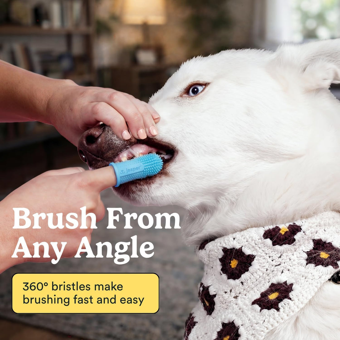 Jasper Dog Toothbrush, 360 Dog Tooth Brushing Kit, Finger Toothbrush