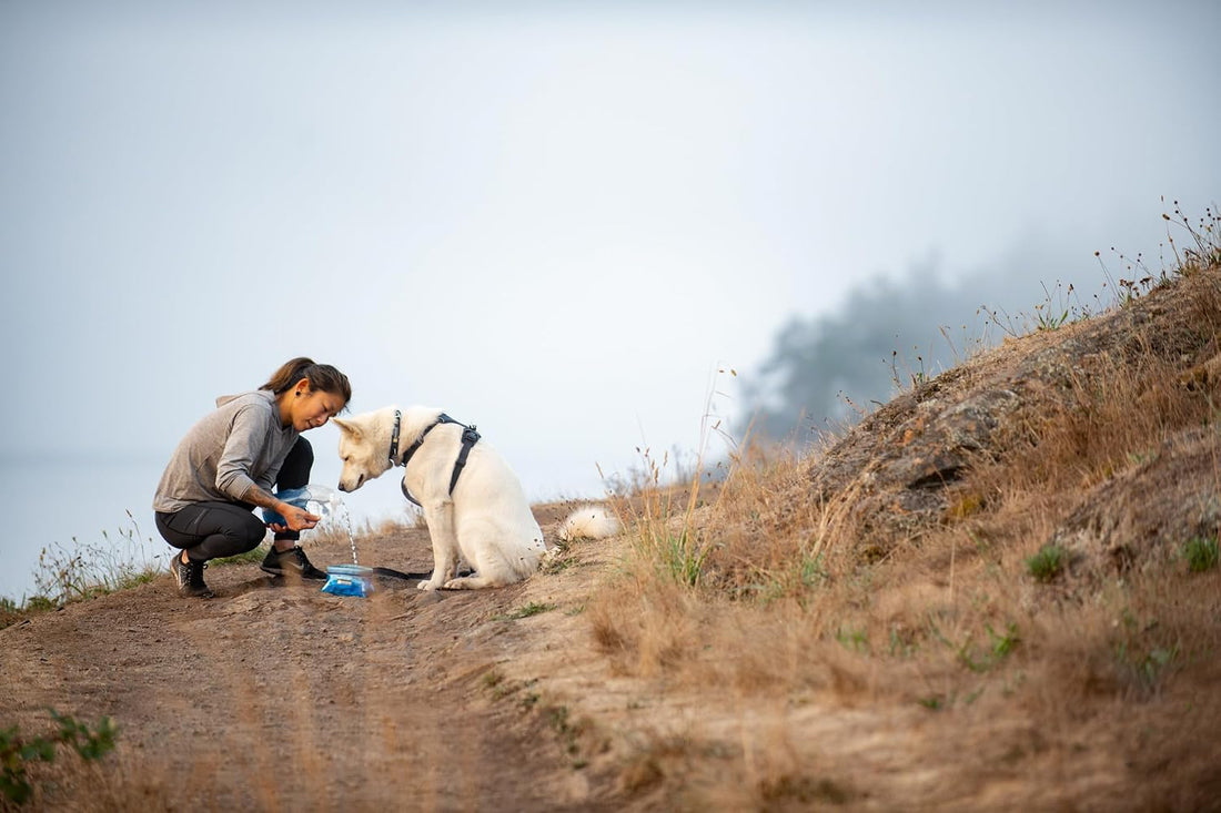 Ruffwear, Quencher Collapsible Dog Bowl