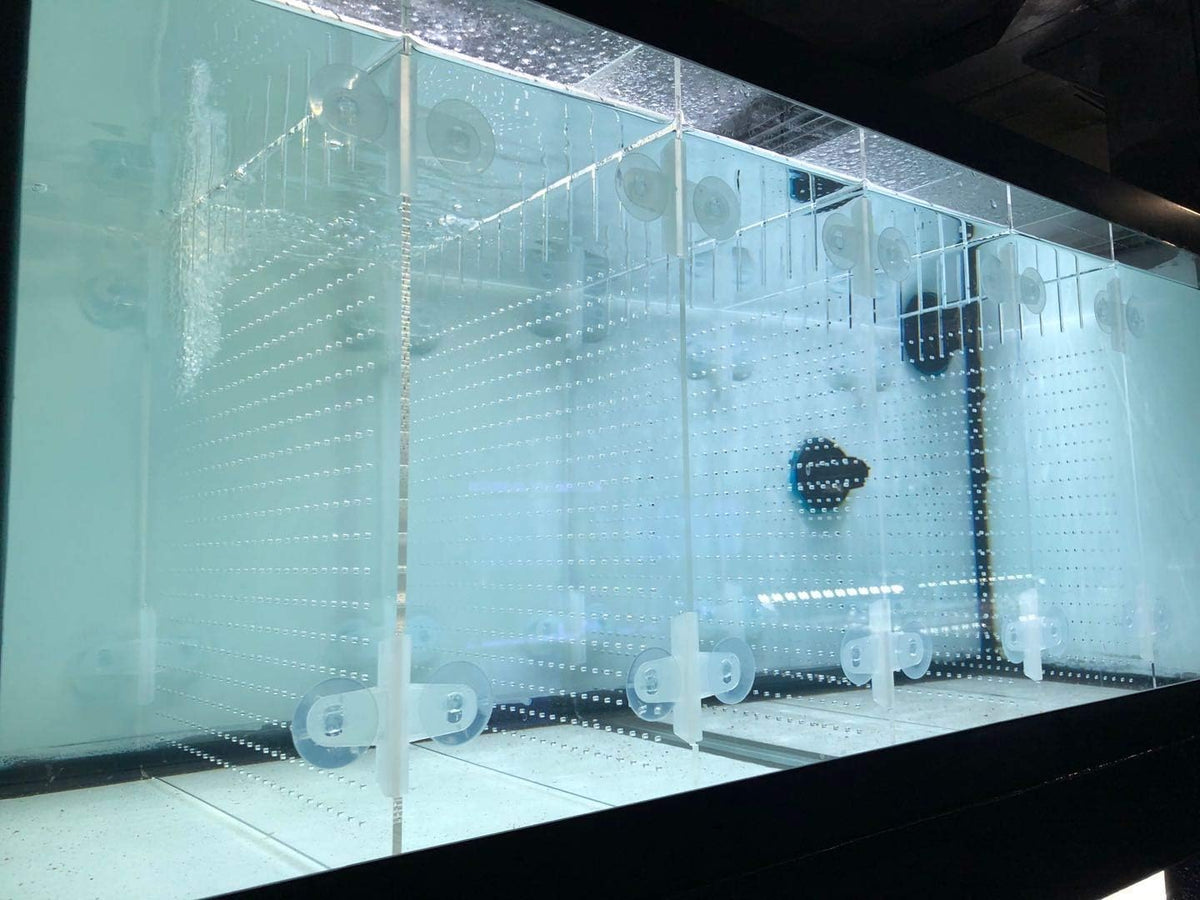 Acrylic Aquarium Divider Kit 5.5/10 / 20L / 20H / 29 / 40B / 55/75 /