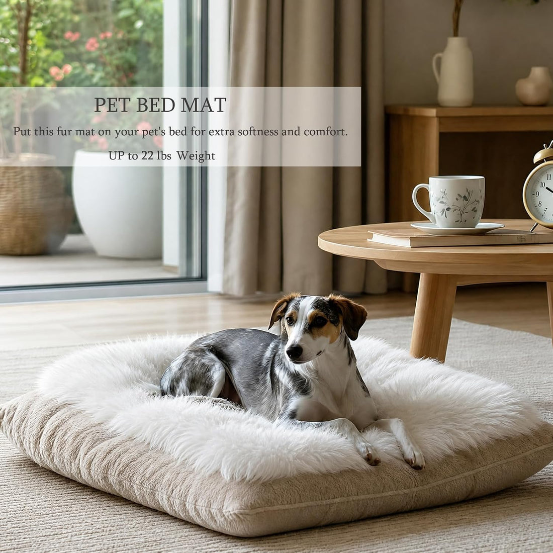 Dog Cat Bed Mat 19.6x31.4 inch