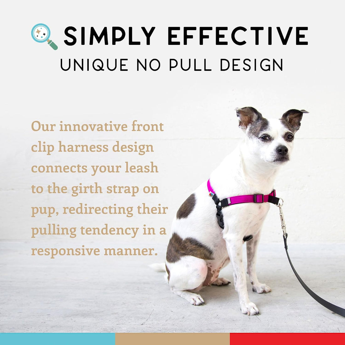 Wildebeest No Pull Dog Harness | Comfortable Training Harnesses