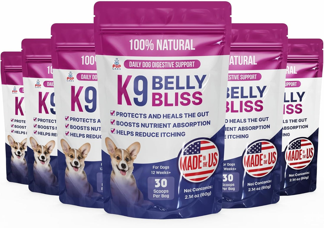 Pup Labs K9 Belly Bliss, All-Natural Gut Health for Dogs