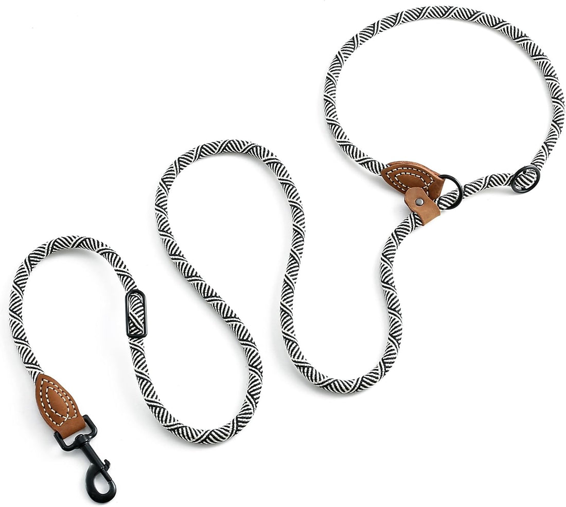 Mile High Life Hands Free Dog Leash