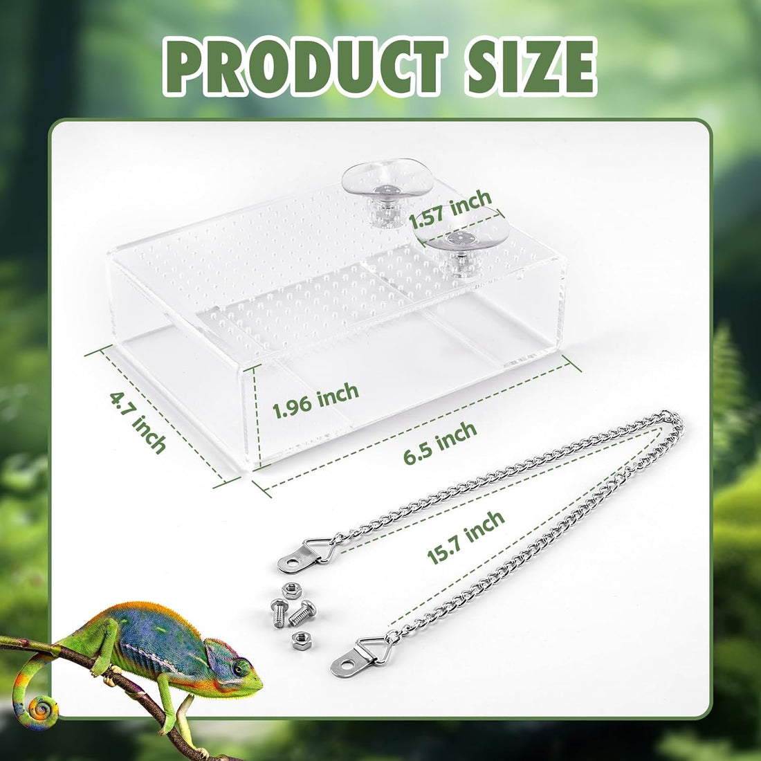 Chameleon Feeder Box with Suction Cups