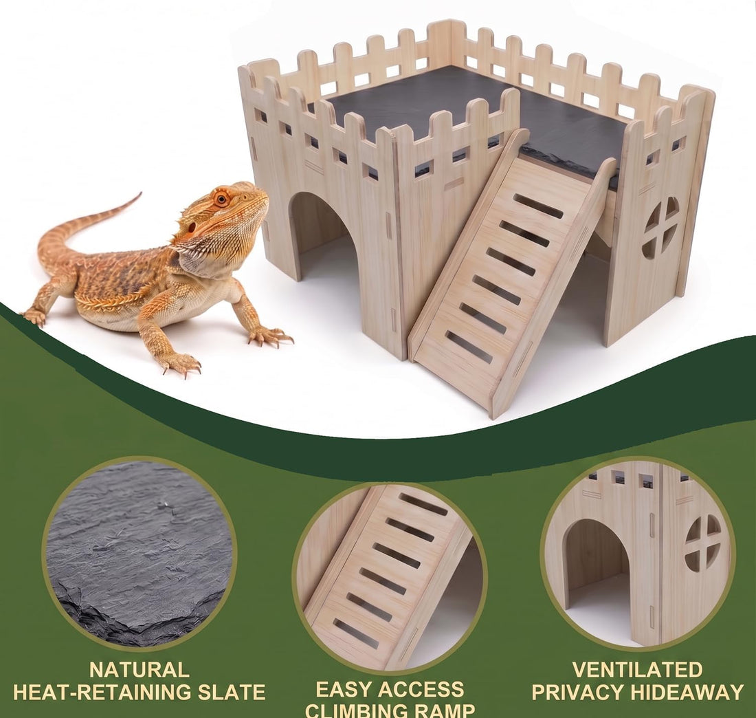 Bearded Dragon Hide Cave Basking Platform