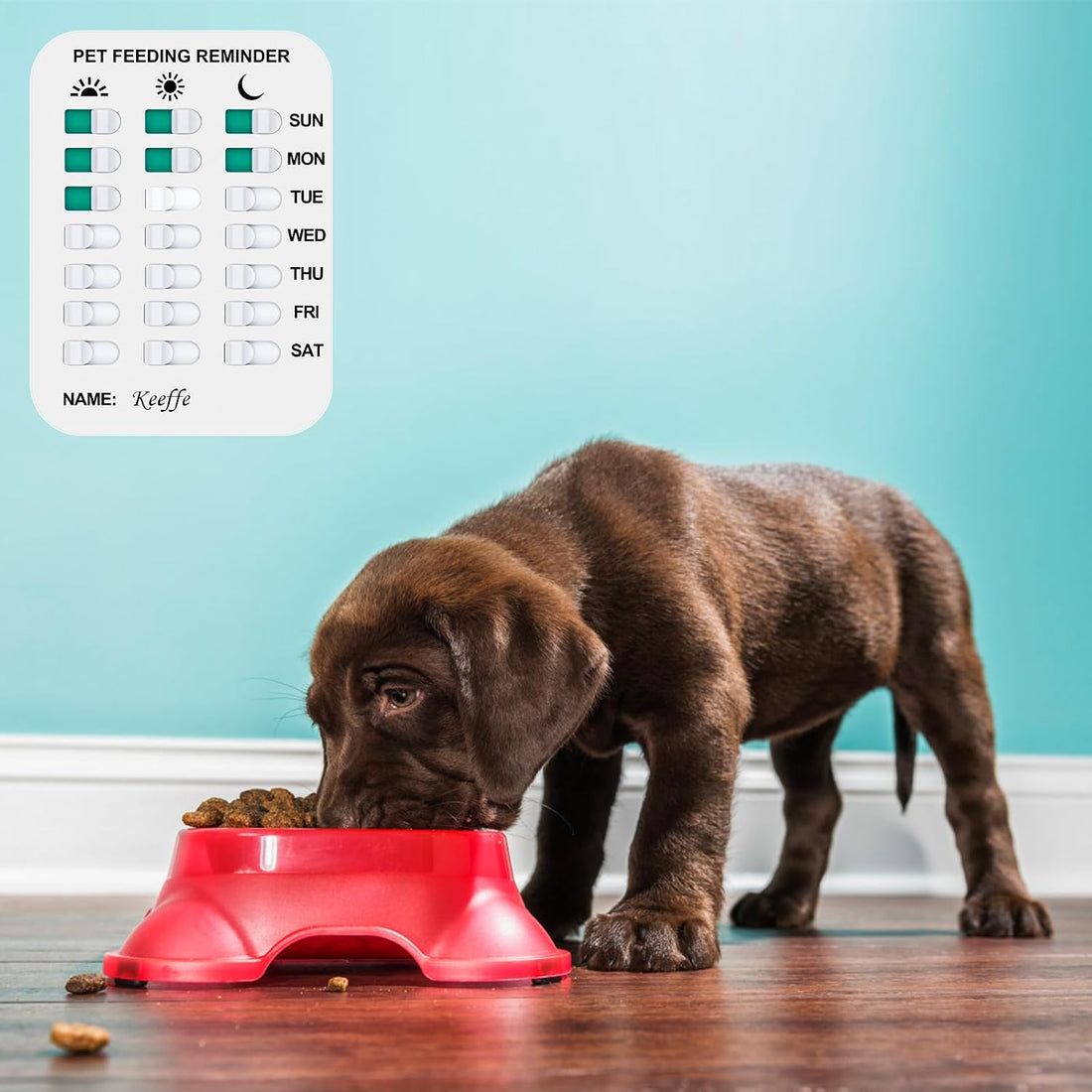 Coolrunner Pet Feeding Reminder for Dogs Cats