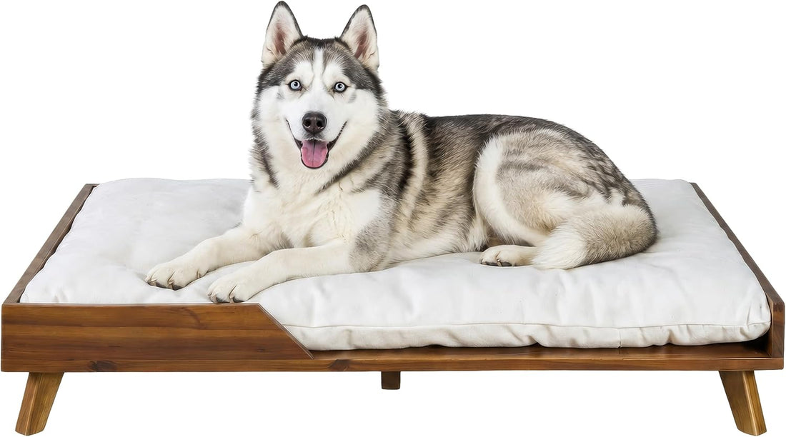 PETMAKER Elevated Dog Bed for Medium to Large Pets, Natural