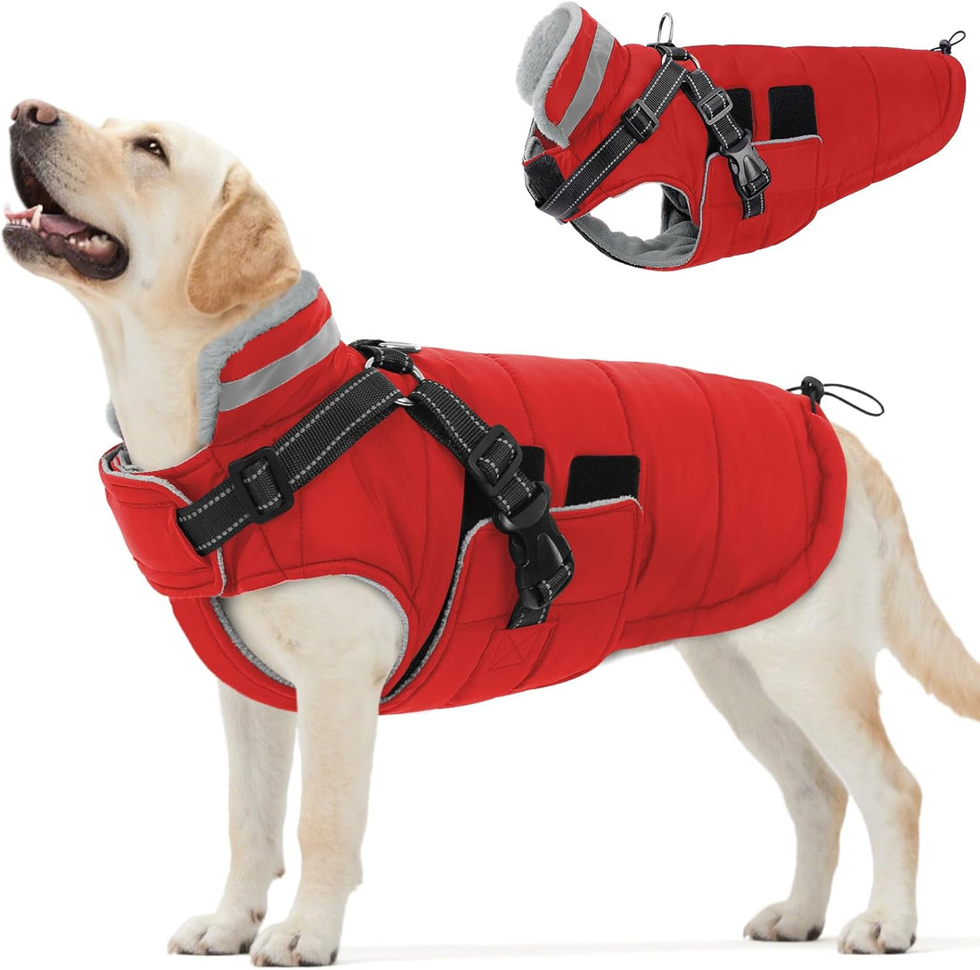 Queenmore Winter Dog Jackets for Medium Dogs with Harness Built-in