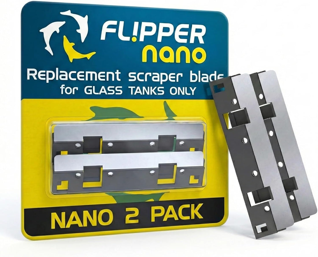 Flipper Standard Algae Scraper Replacement Blades, Stainless Steel