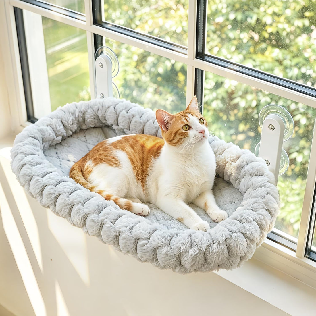 AMOSIJOY Cordless Cat Window Perch with Cushion Bed Metal Frame