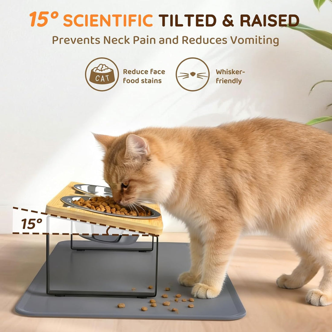 Elevated Cat Food Bowls with Mat