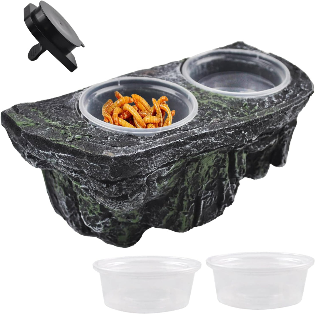 kathson Magnetic Reptile Feeder Ledge,Double Bowl Magnetic Lizard