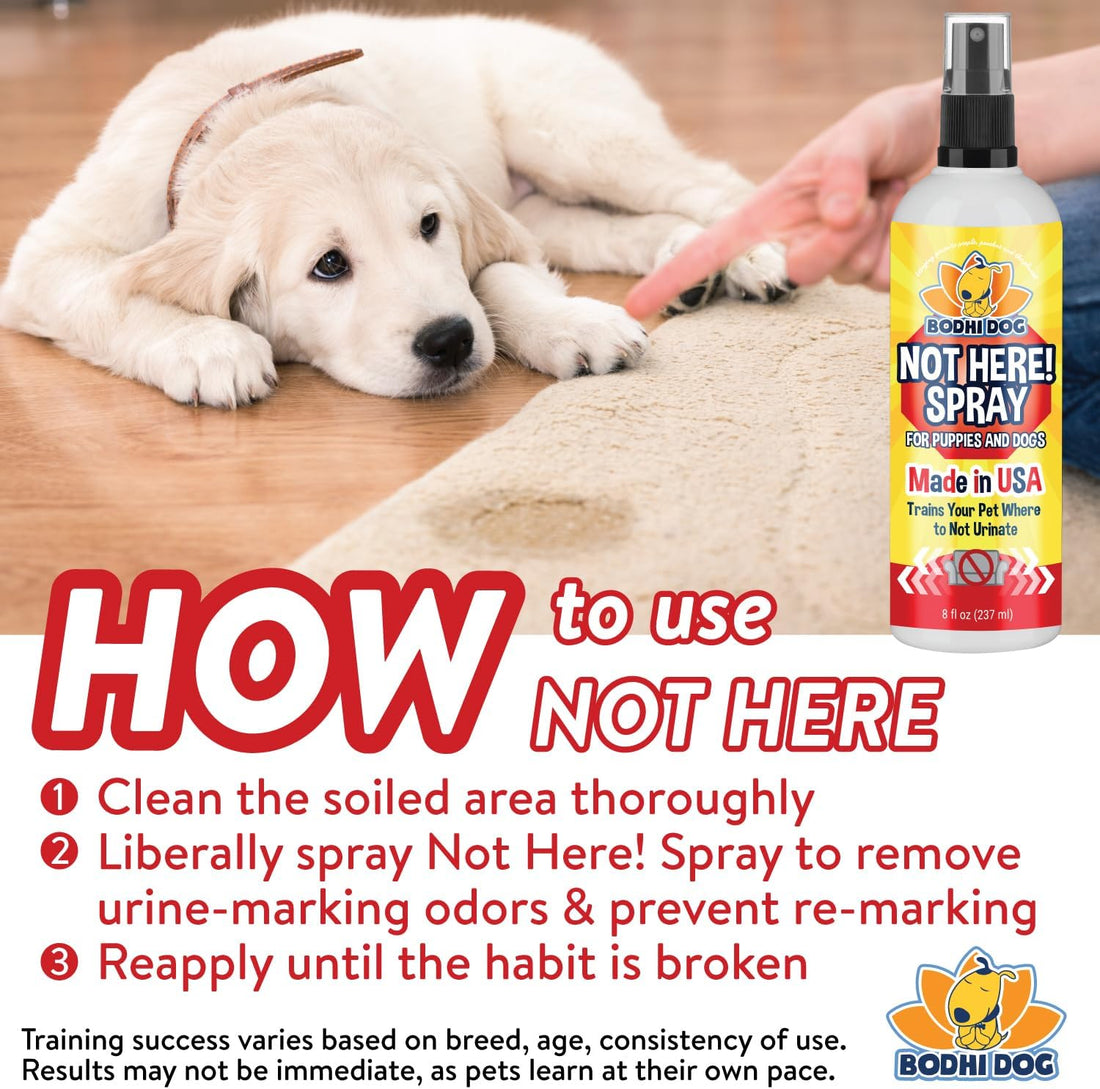 Bodhi Dog Not Here Spray - Trains Pets Where Not To Pee