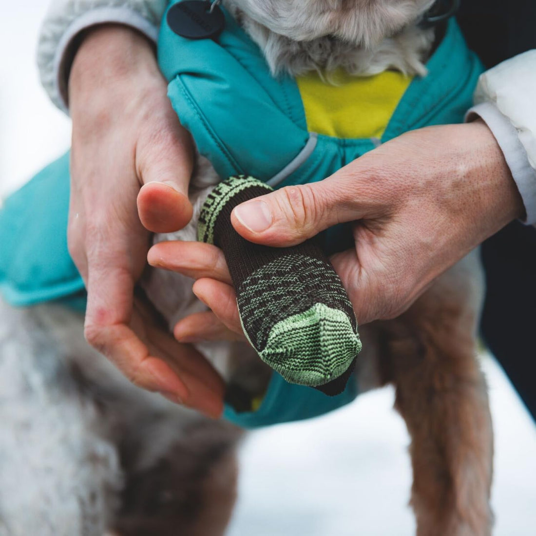 Ruffwear, Bark'n Boot Dog Socks - 4 Count