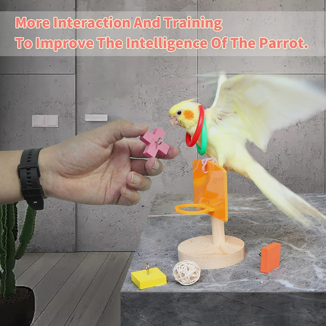 Bird Toys,Parrot Training Toys for Lovebird,Five-Types Parakeet Toys