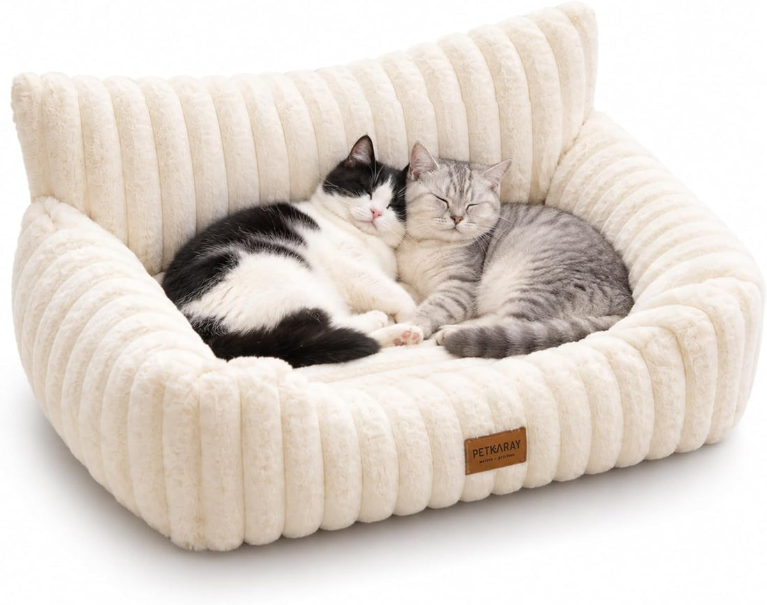 PETKARAY Cat Couch Bed, 24'' Soft Sofa for Indoor Cats