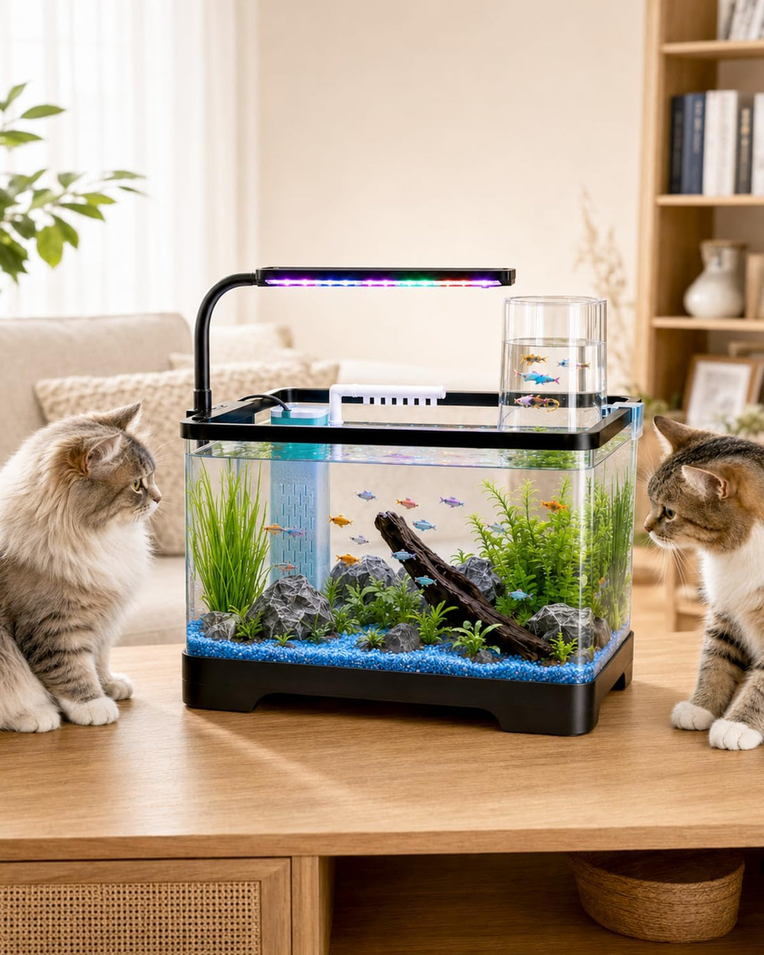 3 Gallon Betta Fish Tank Starter Kit